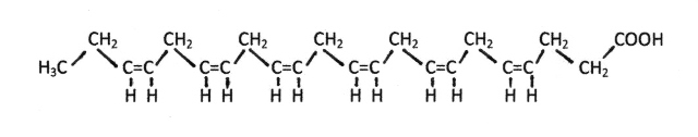 Fish oil 